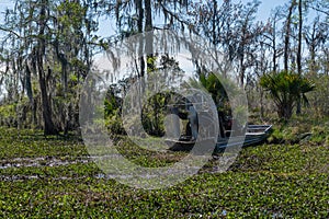 Airboat in Thick Swamp