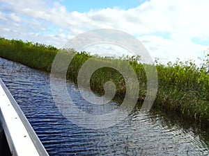 Airboat tour