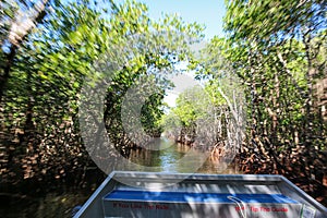 Airboat Tour Ride in Everglades National Park Mangrove Trees Forest, Florida, USA