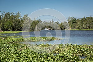 Airboat with tourists in the swamps