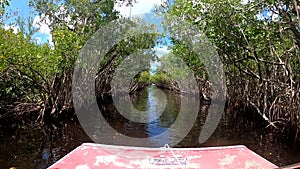 Airboat traveling through mangroves of Everglades