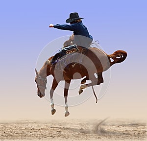 Airborne Rodeo Bronco