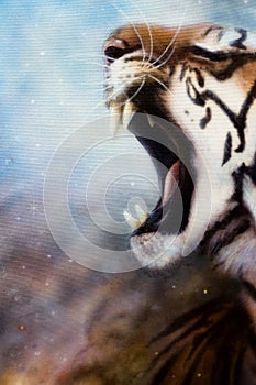 Airbrush painting tiger head