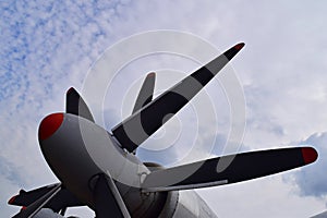 Aircraft fan blades