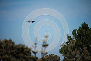 Aircraft on final approach over trees