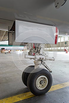 Aircraft Main Gear