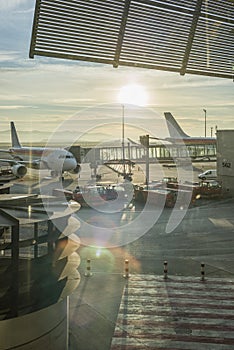 Aircraft on the runway with fingers attached, cargo and maintenance vehicles seen