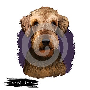 Airedale Terrier breed digital art illustration isolated on white background. Cute domestic purebred animal. Bingley and Waterside