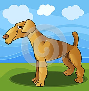 Airedale terrier dog cartoon illustration