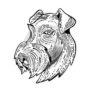 Airedale Terrier Head Etching Black and White