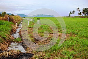 Airfield at rural area