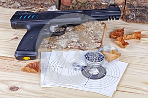 A airgun with its pellets and targets to practice the shot