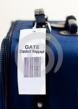 Airline gate checked baggage. photo