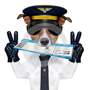 Airline pilot flight attendant check in ticket