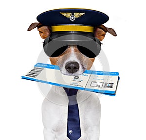 Airline pilot flight attendant check in ticket