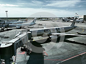 Airoplanes in the airport