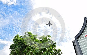 Airplane above tree and building