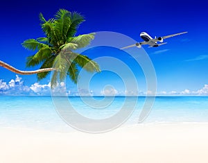 Airplane Aircraft Travel Business Transportation Concept