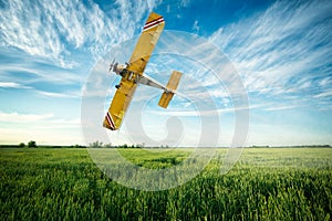 airplane flies over a wheat field spraying fungicide and pesticide photo