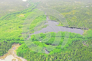 Airplane flight above the forests.