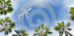 Airplane flying above the palm trees.