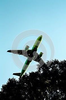 Airplane flying above trees branches against the clear sky, bottom view