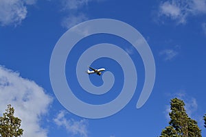 Airplane flying over with a blue sky background and some cloudiness. You can also see the moon in another term of the image