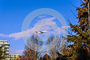 Airplane flying over the trees