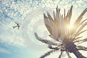 Airplane flying over tropical palm tree on cloudy sunset sky background.