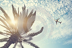 Airplane flying over tropical palm tree on cloudy sunset sky background.