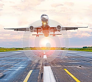 Airplane landing on the runway at the airport at sunset dawn