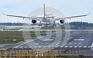 Airplane landing to airport runway