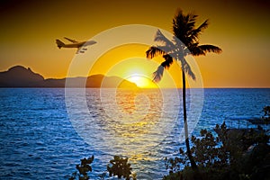 Airplane Ocean Palm Tree Tropical Sunset