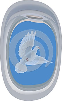 Airplane porthole window with dove in flight