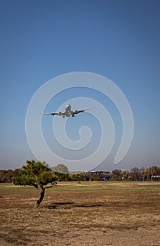 Airplane soars through the sky above a lush forest, its wings glinting in the sun in Washington DC