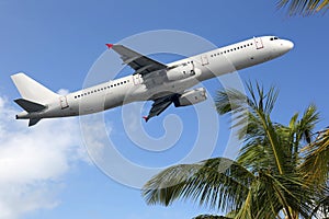 Airplane taking off between palm trees