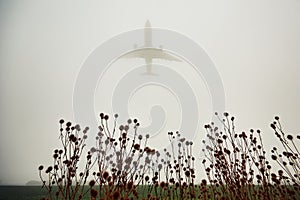 Airplane in thick fog