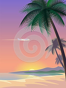 Airplane and tropical paradise palm tree surfboards. Sunny sand coast beach sea ocean landscape.Vector background