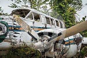 Airplane wreckage in jungle - old propeller aircraft in forest