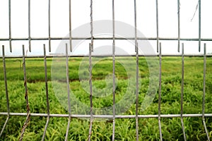 Airport barbed wire fence green grass background