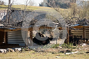 Airsoft soldier shooting