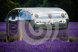 Airstream trailer in a field of Lavender