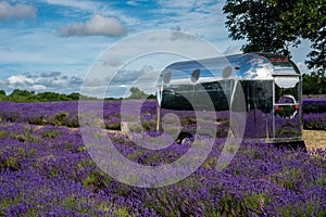 Airstream trailer in a field of Lavender