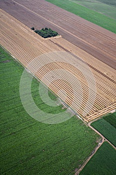 Airview of the field