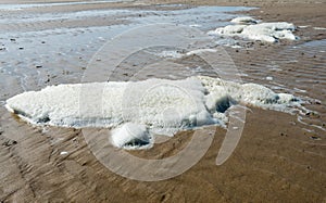 Airy white sea foam on the wet sand beach