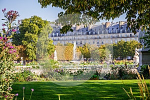 Aisles and pond of the Tuileries Garden in summer