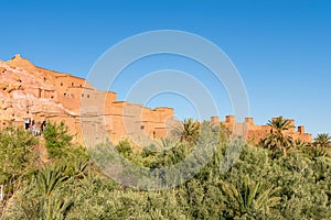 Ait Benhaddou in Morocco with Plants and Palm Trees