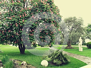 Aivazovsky Park in spring, Crimea