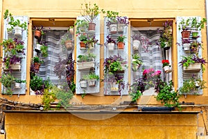 Aix-en-Provence. Window in the orange facade of the old house decorated with flowers.