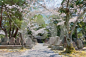 Aizu cemetery at Konkaikomyo-ji Temple in Kyoto, Japan. The graves of Aizu clan warriors, who were
